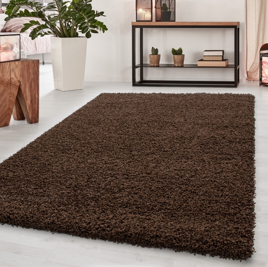 Dream Shaggy Plain Brown Rug